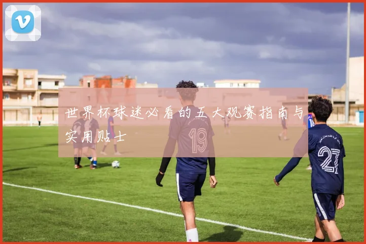 世界杯球迷必看的五大观赛指南与实用贴士