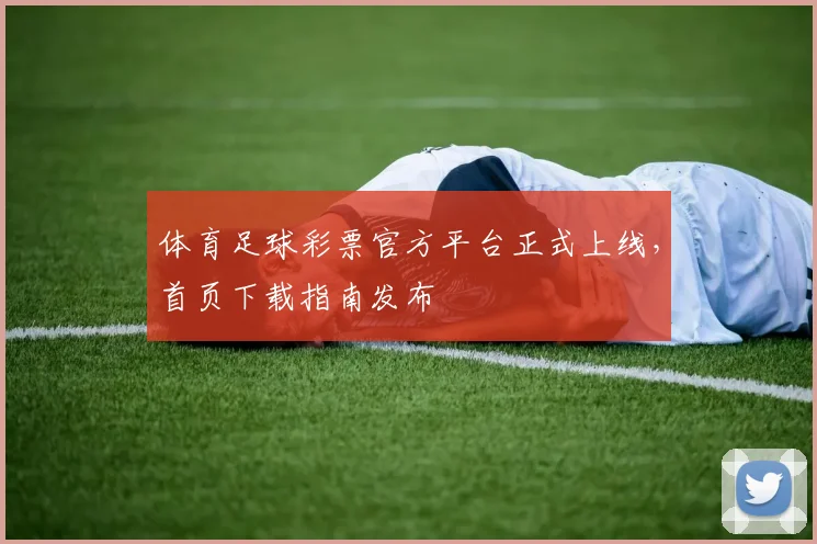 体育足球彩票官方平台正式上线，首页下载指南发布