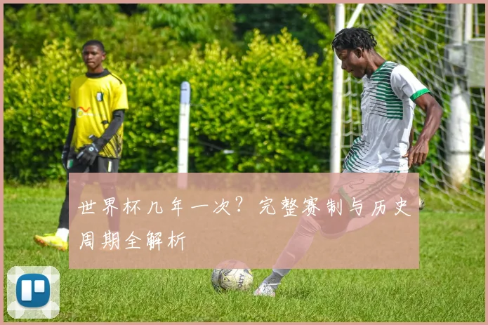 世界杯几年一次？完整赛制与历史周期全解析
